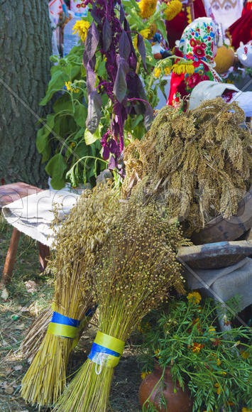 Skilled handicrafts. Fruits and vegetables at the fair
