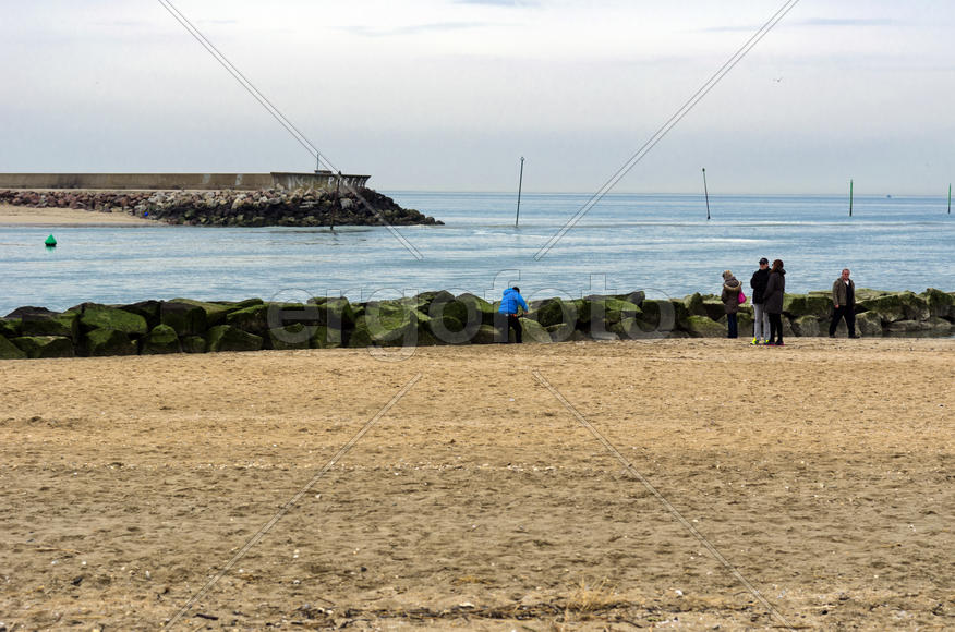 The coastal city line, the boundary between land and water around the pond