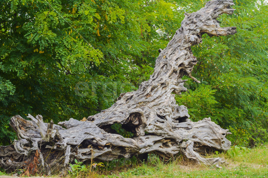 Дизайн ланшафта и интерьерные решения на терретории частного сектора 