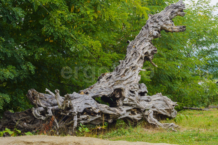 Дизайн ланшафта и интерьерные решения на терретории частного сектора 