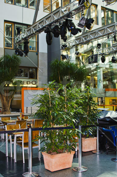 Photo sessions with dry or fluorescent colors, retro style or oriental style, in the office