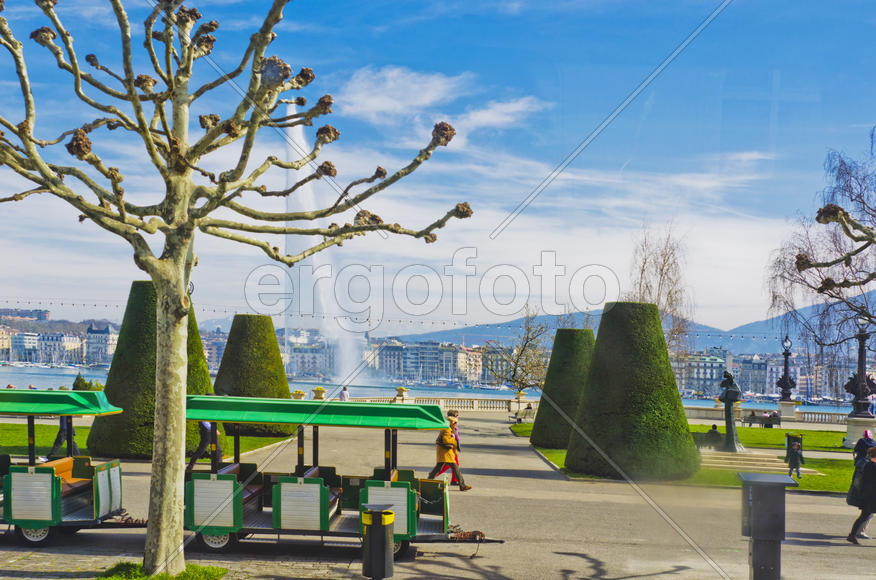 Urban landscape, the diversity of the city's architecture, urban nature or location