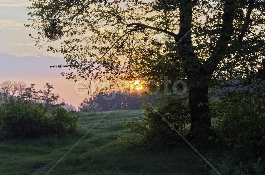 The genial morning sunshine in Ukraine