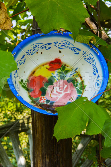 Украшенные кастрюлями стволы деревьев 