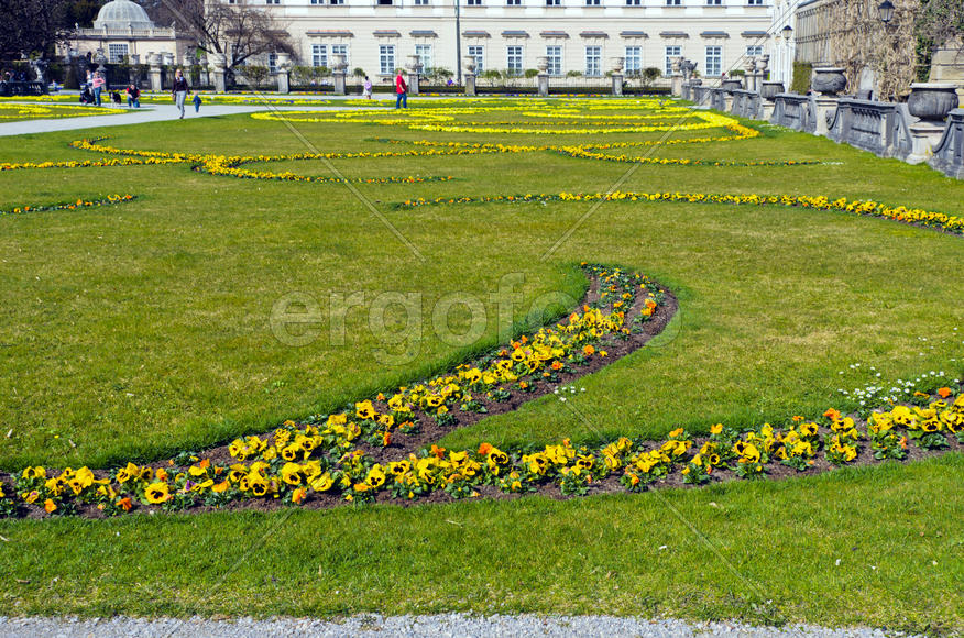 The lawn in the park. The beds of ornamental flowers