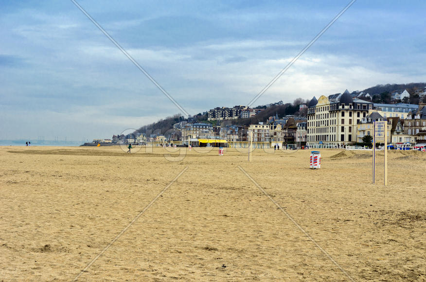 The coastal city line, the boundary between land and water around the pond