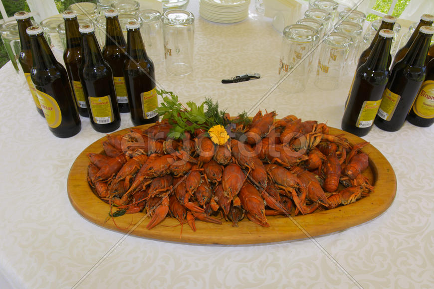 Crayfish with beer on a table in a private cafe