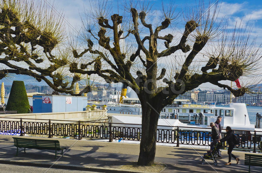 Urban landscape, the diversity of the city's architecture, urban nature or location