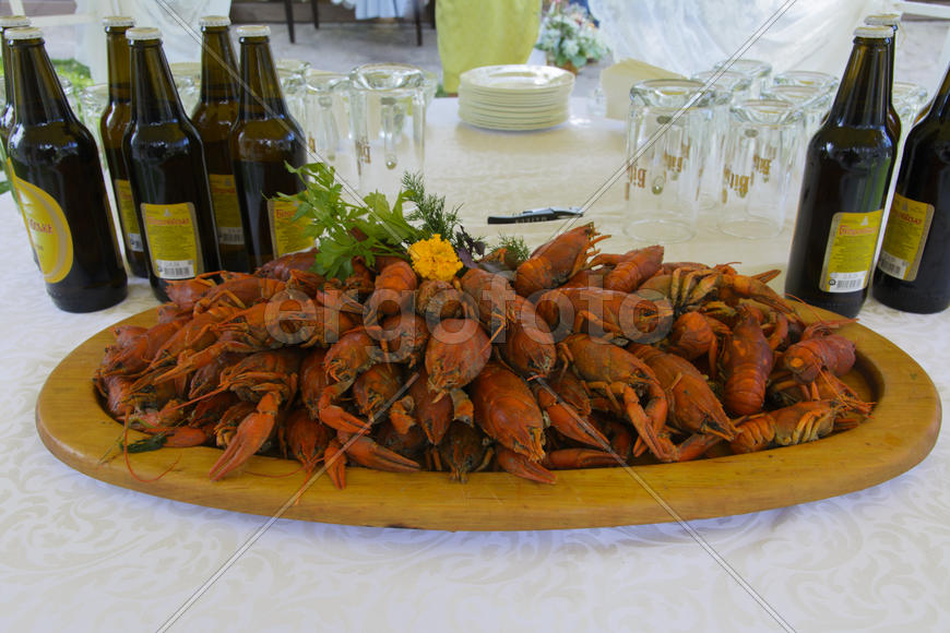 Crayfish with beer on a table in a private cafe