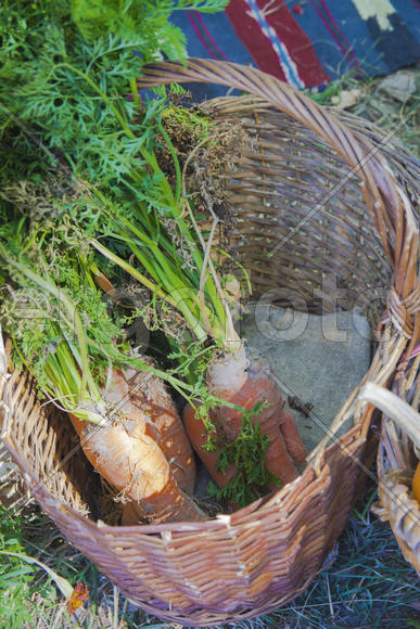 Skilled handicrafts. Fruits and vegetables at the fair