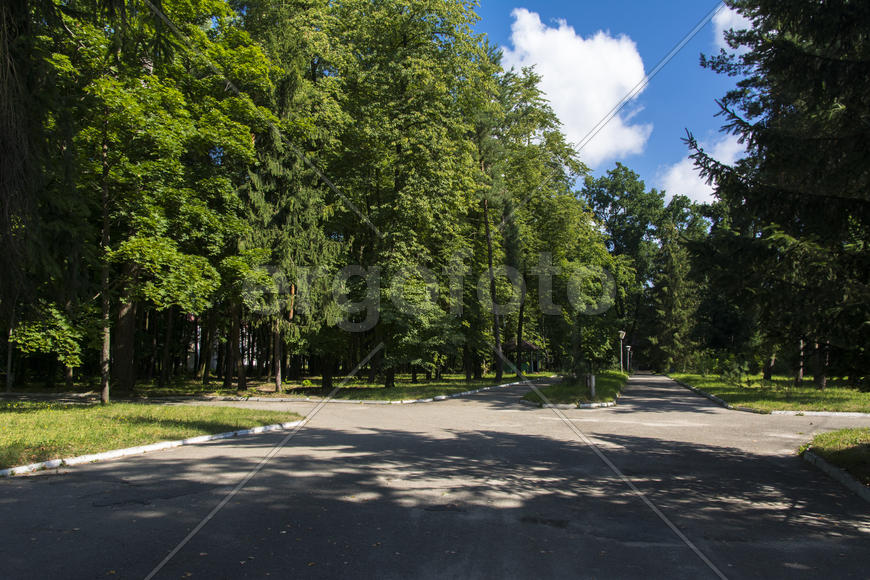 The nature and structure of the sanatorium in the city of Lviv