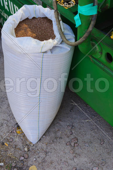 grain bag at the fair in the village