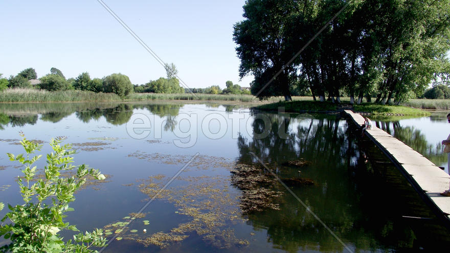 The magnificent nature and fishing in Zhitomir, Ukraine. Family rest. Beautiful kinds. A carp