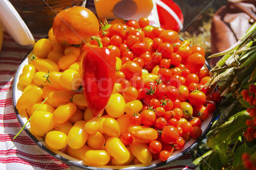 Skilled handicrafts. Fruits and vegetables at the fair