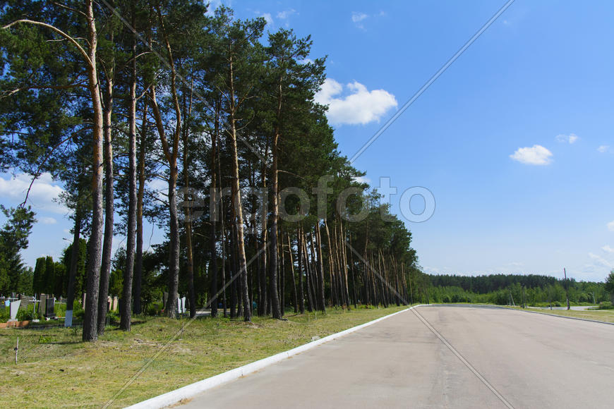 Urban Korbutovskom cemetery, called "Friendship" - one of the largest burial sites. It occupies abou
