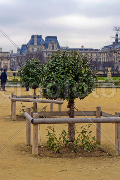 Parks and alleys, art-park complex