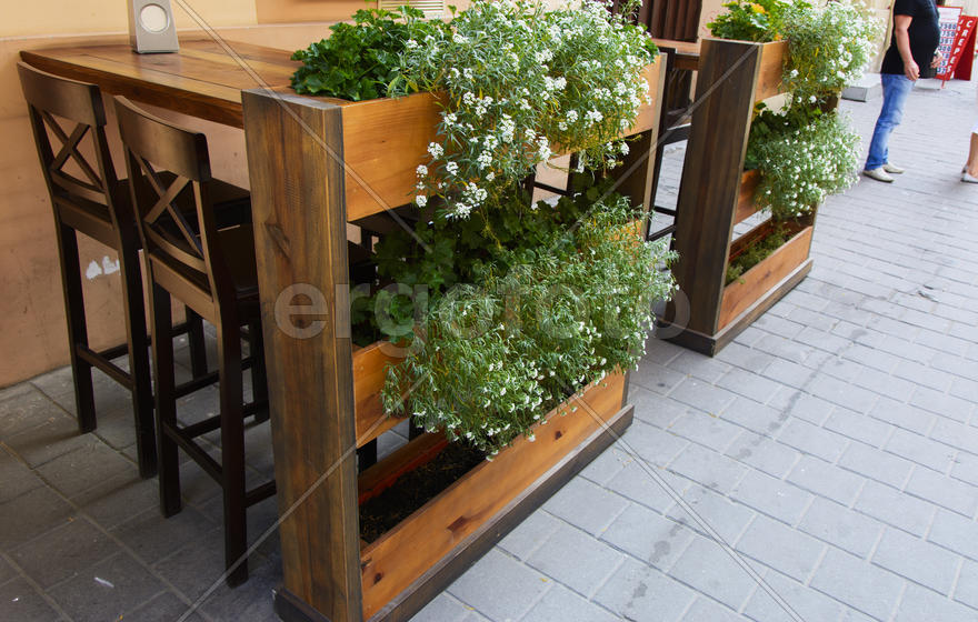 Flowers in pots in the streets. Design, decoration.