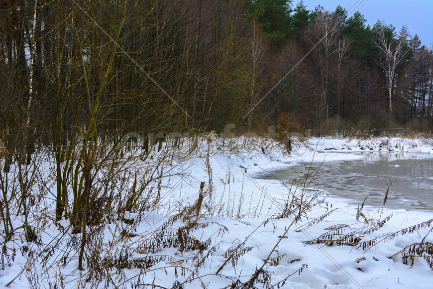 Лесные дороги и тропы растаяли в зимнем лесу