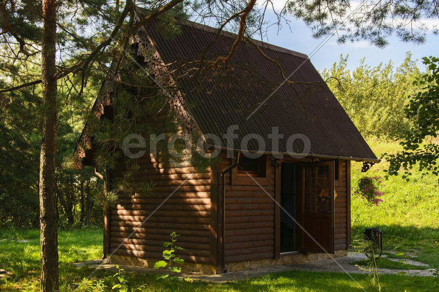 Wooden cabin in the pine forest in the summer