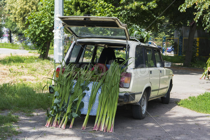 Mobile point of sale. New Mobile Business: itinerant trade