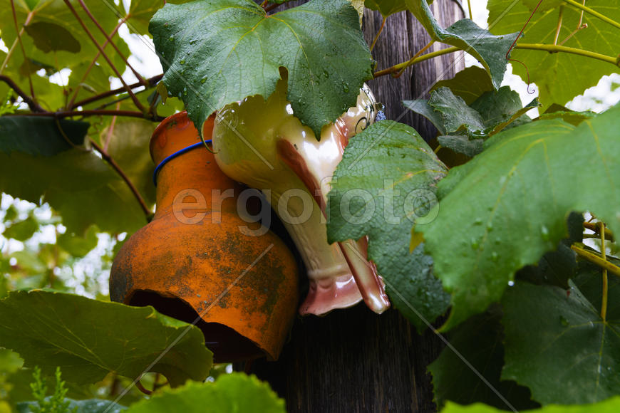 Глиняный горшок на дереве 