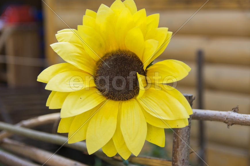 Figurines in the yard of a private home