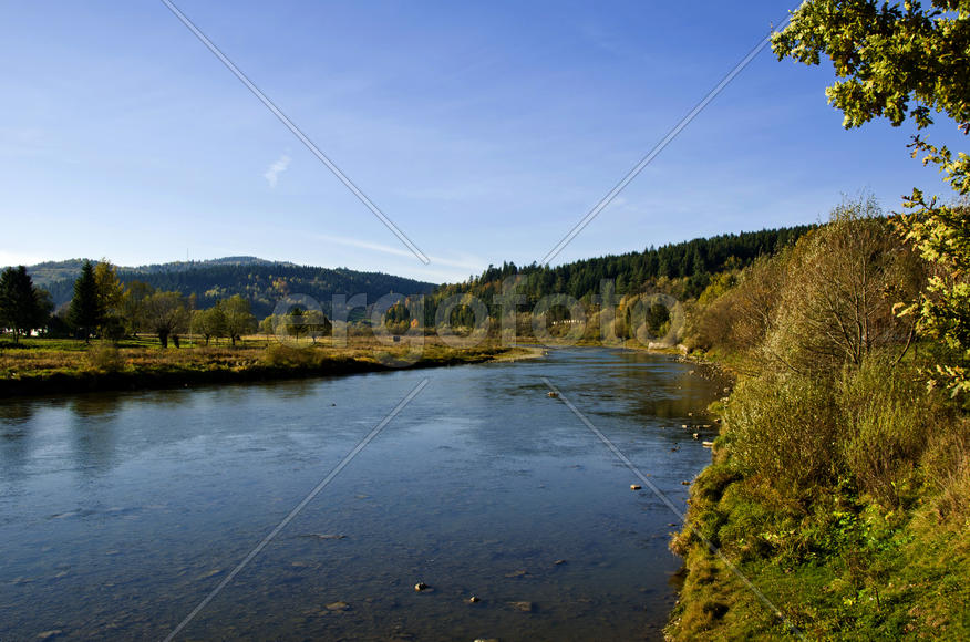 The river Stry in Carpathians. A rapid current. Magnificent rest and fishing