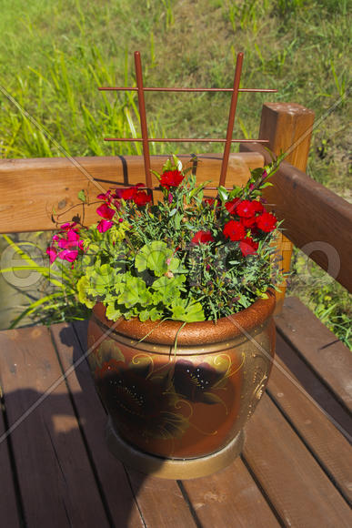 Flowers in pots on the terrace of a private house