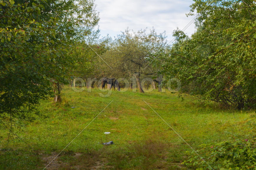 Пейзаж полей и гор в Западной Украине