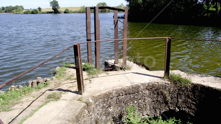 The magnificent nature and fishing in Zhitomir, Ukraine. Family rest. Beautiful kinds. A carp