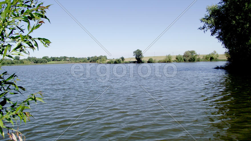 The magnificent nature and fishing in Zhitomir, Ukraine. Family rest. Beautiful kinds. A carp