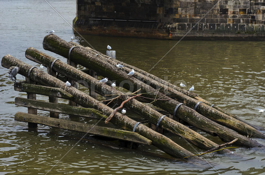 Bridge over the river, artificial structure, erected by the city river