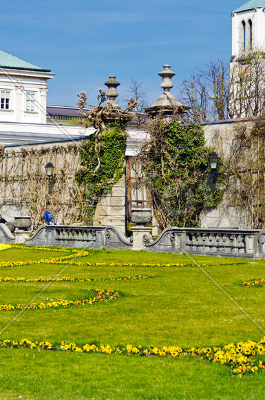 The lawn in the park. The beds of ornamental flowers