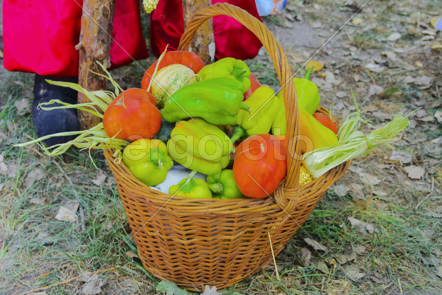 Skilled handicrafts. Fruits and vegetables at the fair