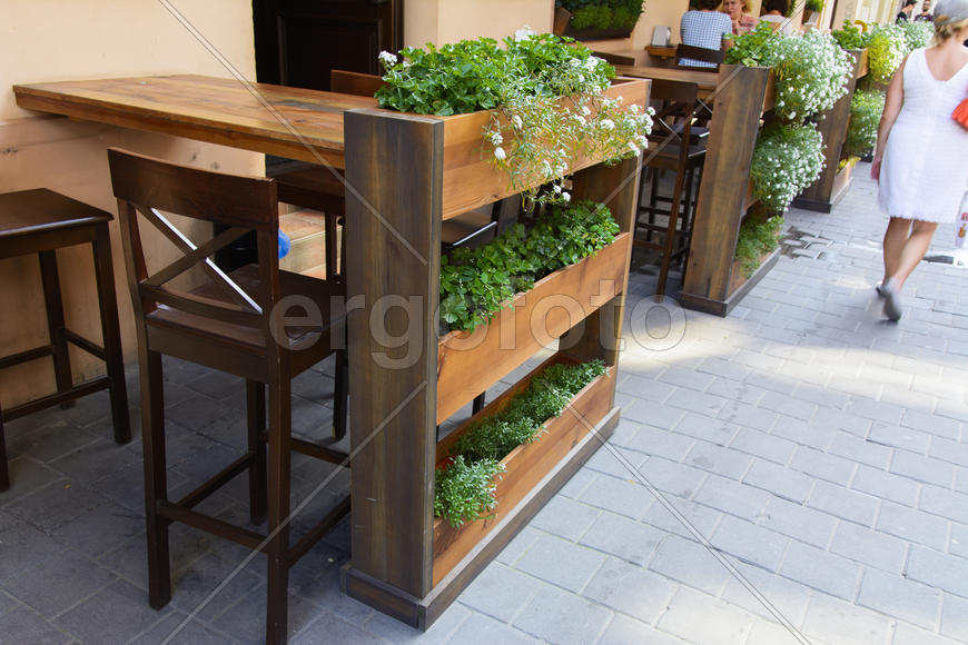 Flowers in pots in the streets. Design, decoration.