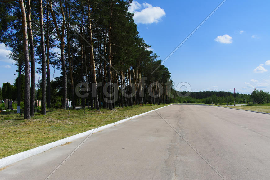 Urban Korbutovskom cemetery, called "Friendship" - one of the largest burial sites. It occupies abou