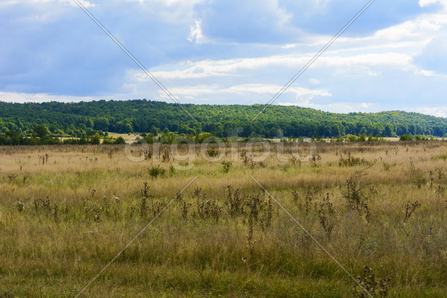Пейзаж полей и гор в Западной Украине