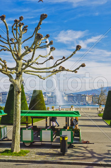 Urban landscape, the diversity of the city's architecture, urban nature or location