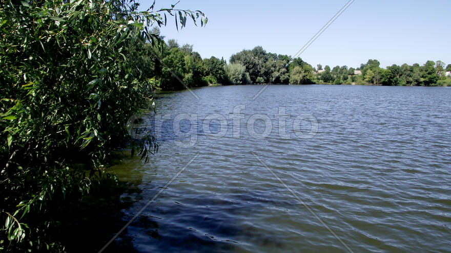 The magnificent nature and fishing in Zhitomir, Ukraine. Family rest. Beautiful kinds. A carp