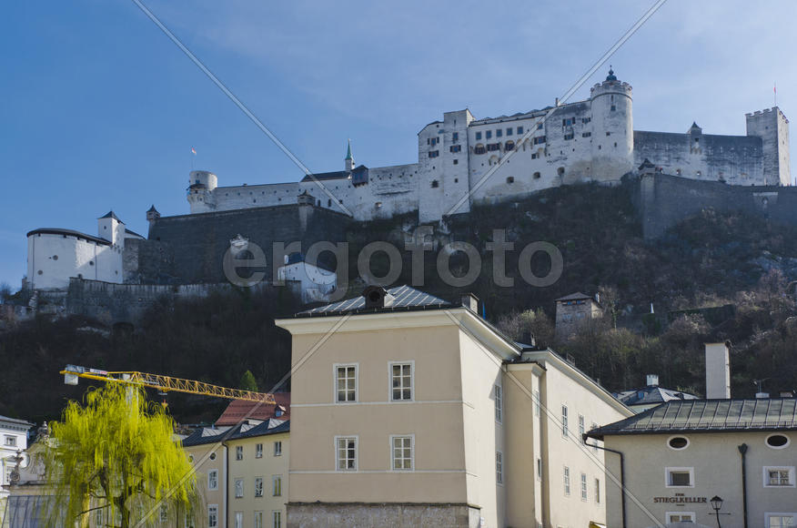 Historical Museums. Establishments engaged in the collection, storage, study and popularization