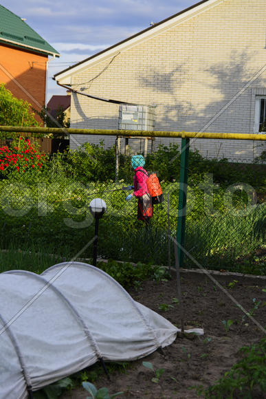 Женщина обрабатывает растения от насекомых 