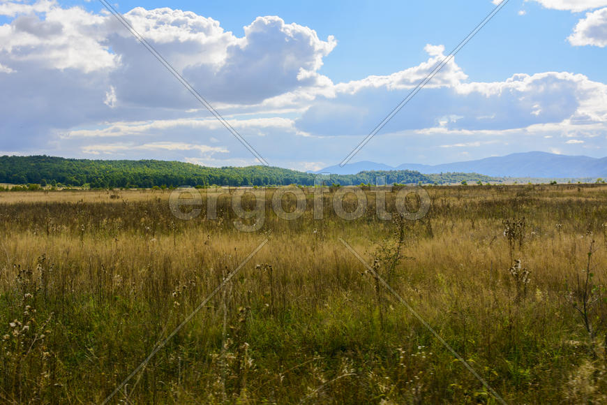 Пейзаж полей и гор в Западной Украине