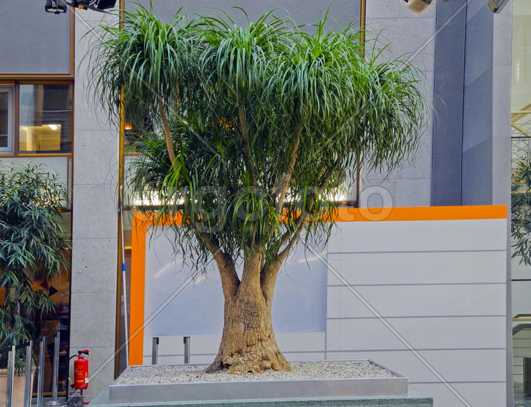 Parks and alleys, art-park complex