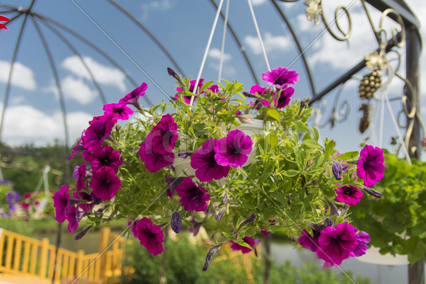 Monastery of Our Lady of Kazan. The design of the monastery. flowers