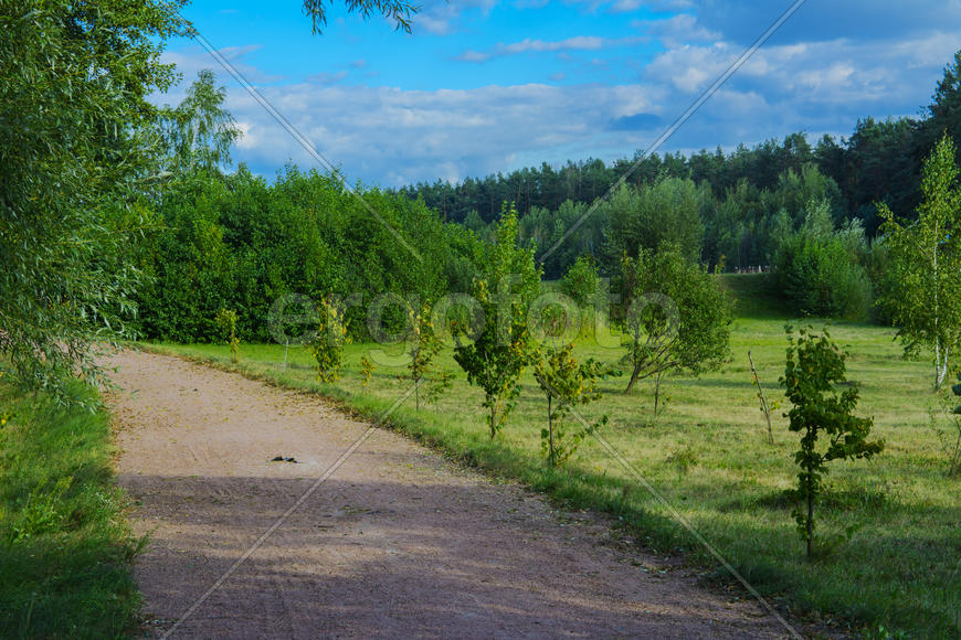 The landscape of the field on the lake in a recreation area