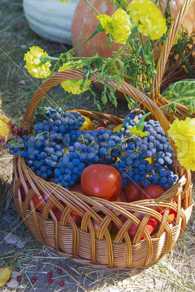 Skilled handicrafts. Fruits and vegetables at the fair