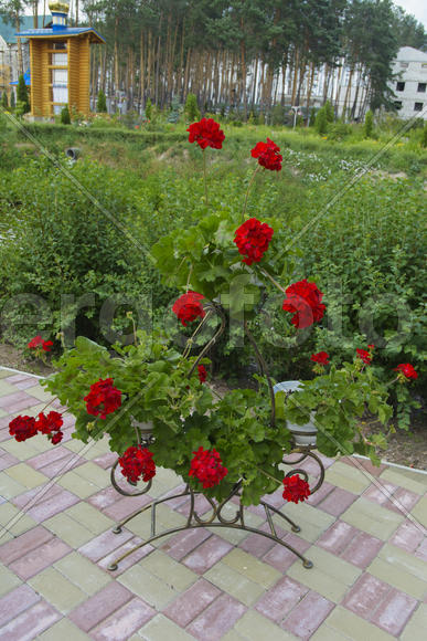 Monastery of Our Lady of Kazan. The design of the monastery. flowers