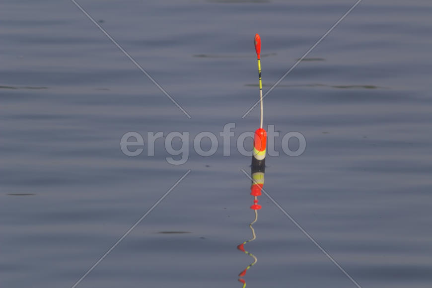 Fishing the float bobs on the waves, reflected ripples on the water surface