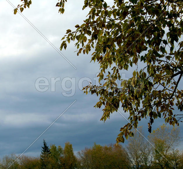 Осенний пейзаж