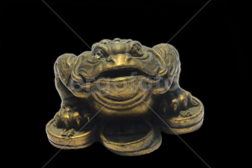 Для привлечения денег